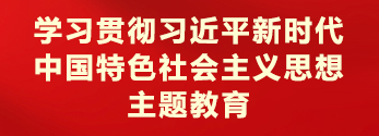 学习贯彻习近平新时代中国特色社会主义思想主题教育
