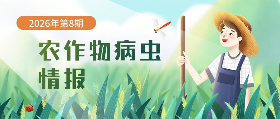 农作物病虫情报（2026年第8期）：柑橘病虫发生动态