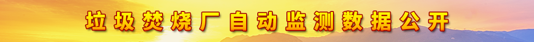 垃圾焚烧厂自动监测数据公开.png