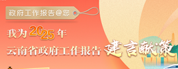 政府工作报告@您