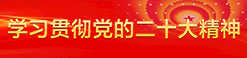 二十大