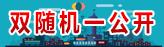 双随机一公开
