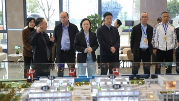 青白江区政协开展主席会议重点提案专题视察