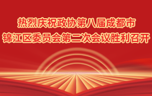 八届二次全会