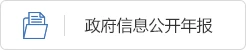 政府信息公开年报