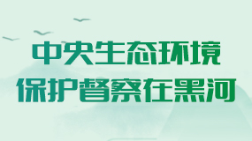 中央生态环境保护督察在黑河