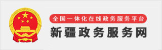 新疆政务服务网