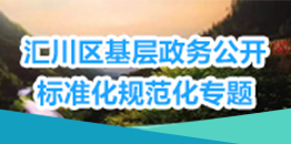基层政务公开标准化规范化专题