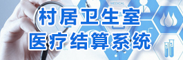 村卫生室医疗结算系统