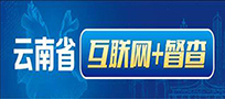 云南省互联网+督查